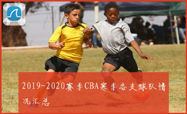 2019-2020赛季CBA寒季各支球队情况汇总