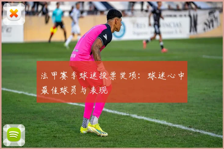 法甲赛季球迷投票奖项：球迷心中最佳球员与表现