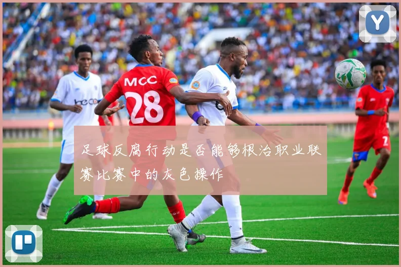 足球反腐行动是否能够根治职业联赛比赛中的灰色操作