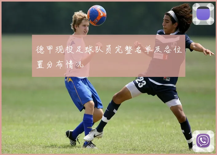 德甲现役足球队员完整名单及各位置分布情况