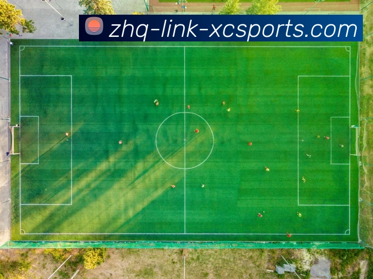 杏彩体育平台生态图