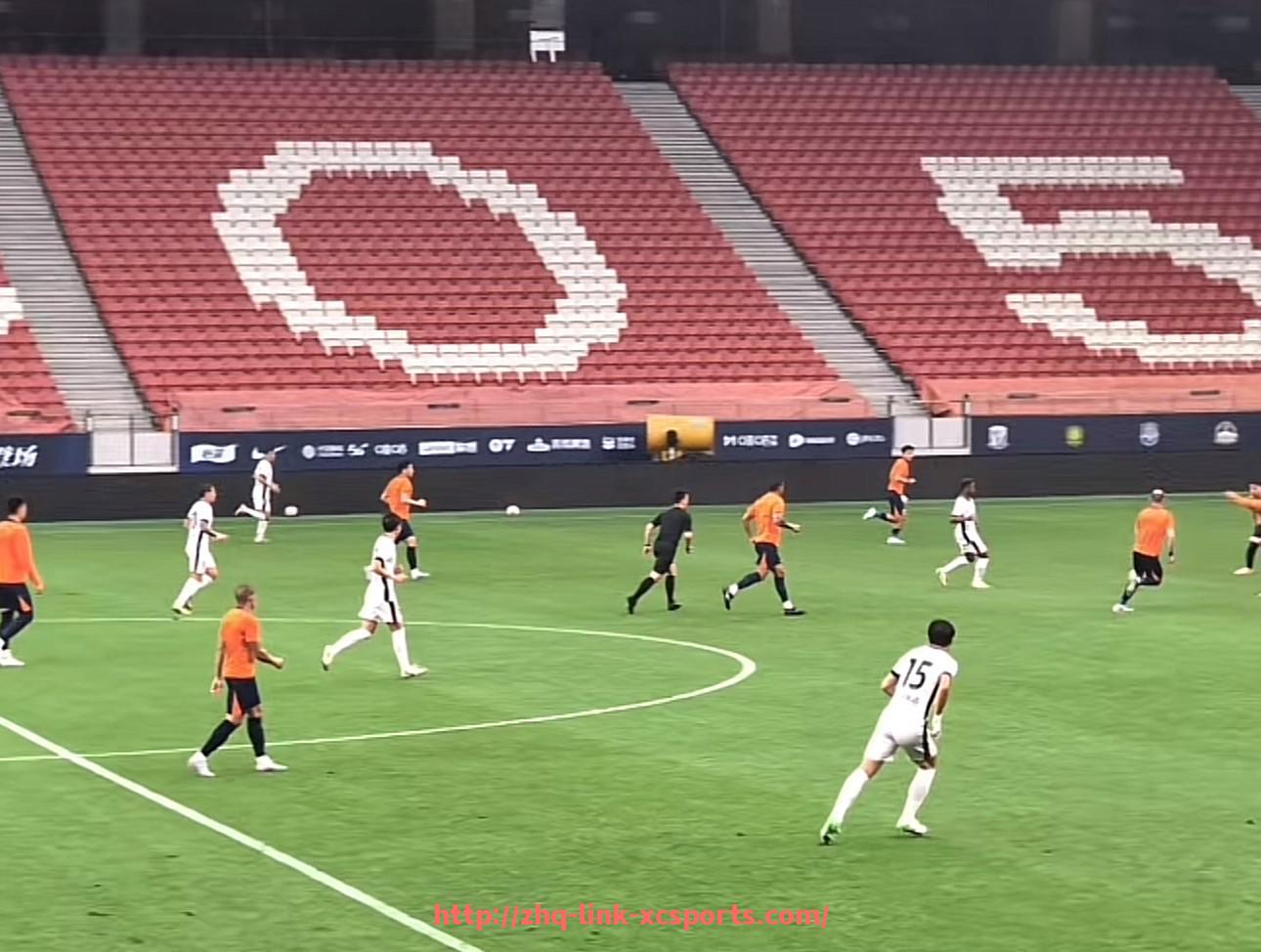 杏彩体育-德甲缺乏“土豪球队”的原因与财政公平政策影响